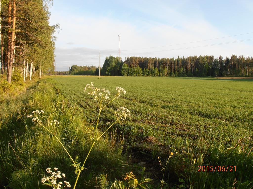 Kalliomajat Ylivalli Extérieur photo