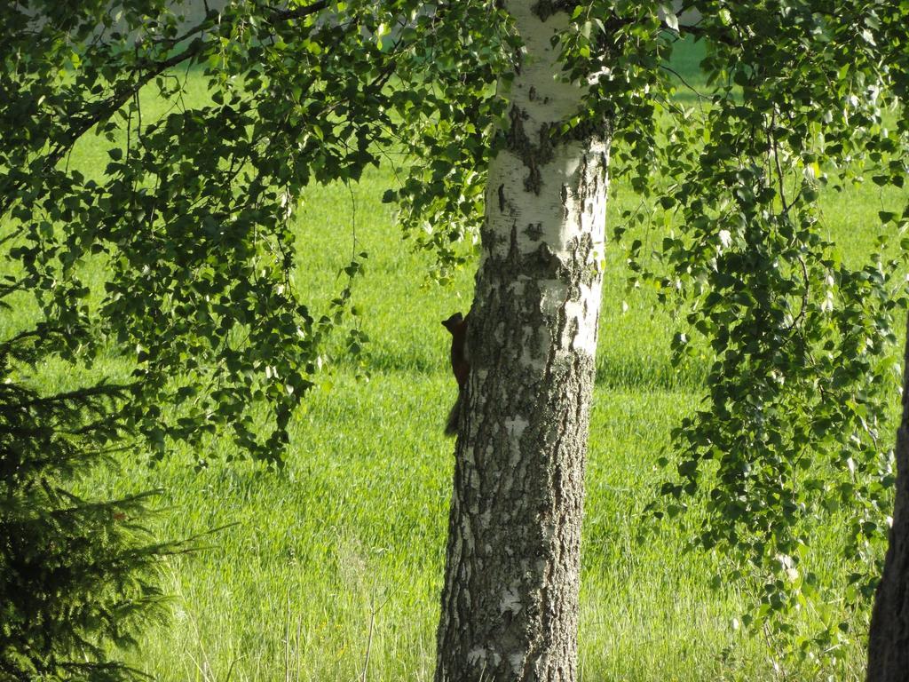 Kalliomajat Ylivalli Extérieur photo